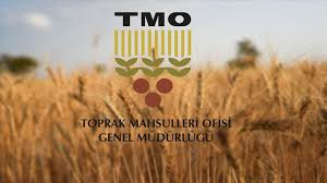 TMO Memur Alımı Başvuruları Başladı! Başvuru Ekranı Açıldı, İşte Kadrolar ve Şartlar