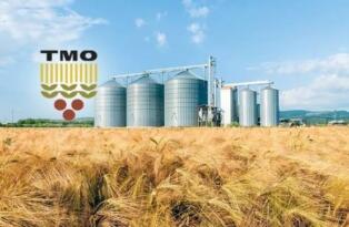 TMO 8 Kadrolu Müfettiş Yardımcısı Alımı Yapacak! Başvurular Haziran’da Başlıyor